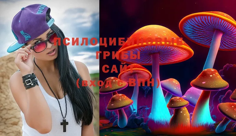 Псилоцибиновые грибы MAGIC MUSHROOMS  купить наркотик  MEGA   Всеволожск 